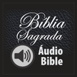 プログラムのアイコン：Holy Bible in Audio