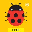 Ícone do programa: Egg Head LITE: Peekaboo B…