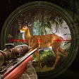 Deer Hunter - 3D Hunting Games