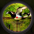 Icon of program: Duck Hunting 2019 - Real …