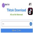 TikTok Downloader - HD and Without Watermark