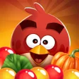 프로그램 아이콘: Angry Birds POP