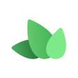 Symbol des Programms: Ivy Crosslisting