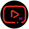 プログラムのアイコン：MSTV