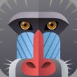 Programın simgesi: Name the Animal Head - An…