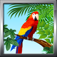 プログラムのアイコン：Tonos De Aves