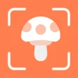 プログラムのアイコン：MushroomID-Mushroom ident…