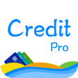 Ikon program: Credit Pro