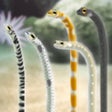 Ícone do programa: Garden Eel Pet