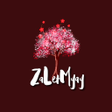 Ikon program: ZaLetMyay