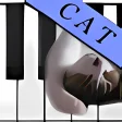 猫ピアノ (無料)　ねこ　ねこ　ねこ