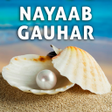 程序图标：Nayaab Gauhar