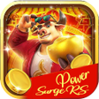 プログラムのアイコン：Power Surge RS