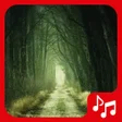 Icon of program: Scary sounds Halloween.
