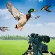 Duck Hunting with Gun