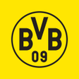 プログラムのアイコン：BVB 09