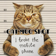 Ikon program: Wallpaper Cat Mug Shot Th…