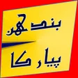 Icon of program: pyar m kb bhandan they