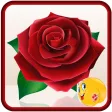 Love  Rose Stickers