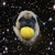 Icon of program: SpacePugSafeSpace: based …