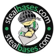 Symbol des Programms: StealBases.com