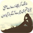程序图标：Write Urdu On Photo