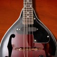 ไอคอนของโปรแกรม: Mandolin Companion