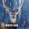 Icon of program: Winter Deer HD Wallpapers…