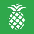 Programın simgesi: PineApp