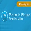 Icône du programme : Picture In Picture for Pr…