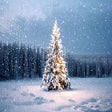 Иконка программы: Shining Christmas Tree wi…