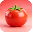 プログラムのアイコン：VeggieLink
