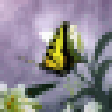 プログラムのアイコン：Butterflies World Screens…