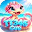ไอคอนของโปรแกรม: TT345Cue