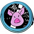 Icon of program: PigVidz Archival Tool