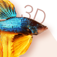 Icon of program: Betta Fish 3D Free - 3D L…