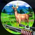 Deer Hunting Animal Shooting