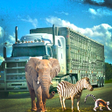 Icon of program: Animal Transport Duty Sim
