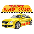 Ikon program: TAXI Fulger Oradea