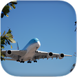 Иконка программы: Airplane Flight Simulator…