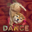 Icon of program: Animal Dance puppies