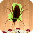 プログラムのアイコン：Beetle Smasher