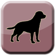 Icoon van programma: Dog Sounds