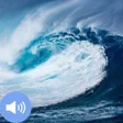 أيقونة البرنامج: Tsunami Sounds and Wallpa…