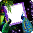 Icon of program: Love Bird Insta Dp Maker