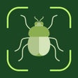 プログラムのアイコン: Bug Identifier: Insect Sc…