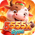 프로그램 아이콘: 5555xSync