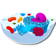 Ikona programu: Molecular biology