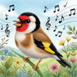 Ikona programu: Bird Sounds Calls  Ringto…