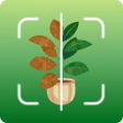 Ícone do programa: Plantful- AI Plant Identi…
